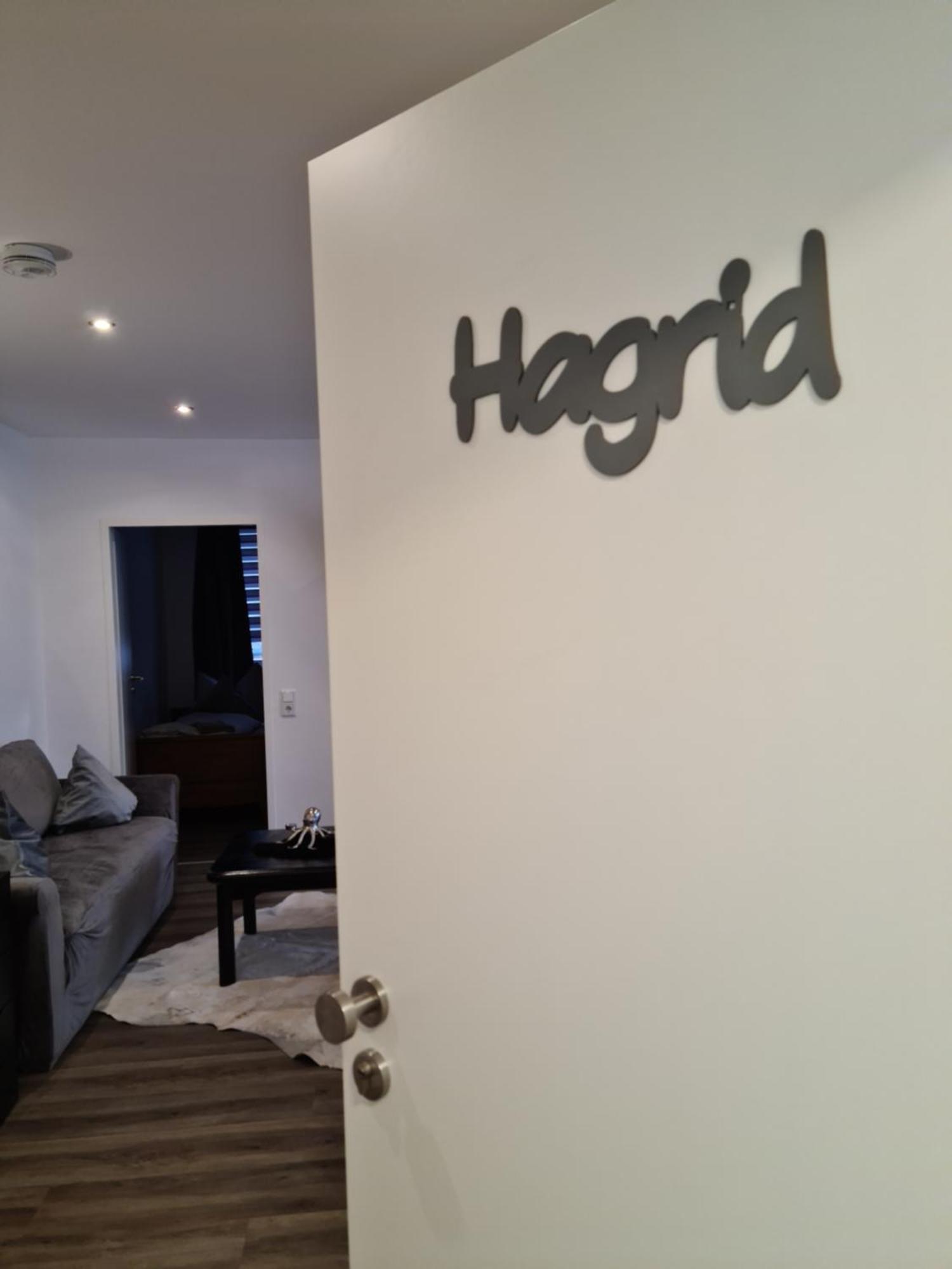 Pilgrims "Hagrid" 2 Sz, Balkon, Kueche, Bad, Top Wifi Brilon Exteriör bild
